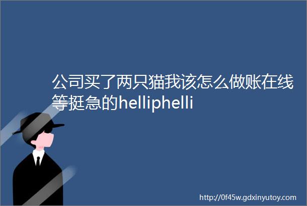 公司买了两只猫我该怎么做账在线等挺急的helliphellip